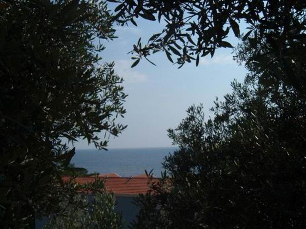 Apartments Maslina Sveti Stefan Dış mekan fotoğraf