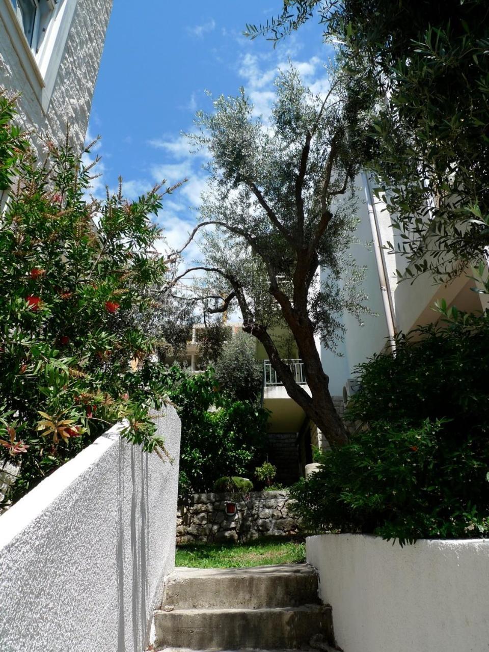 Apartments Maslina Sveti Stefan Dış mekan fotoğraf