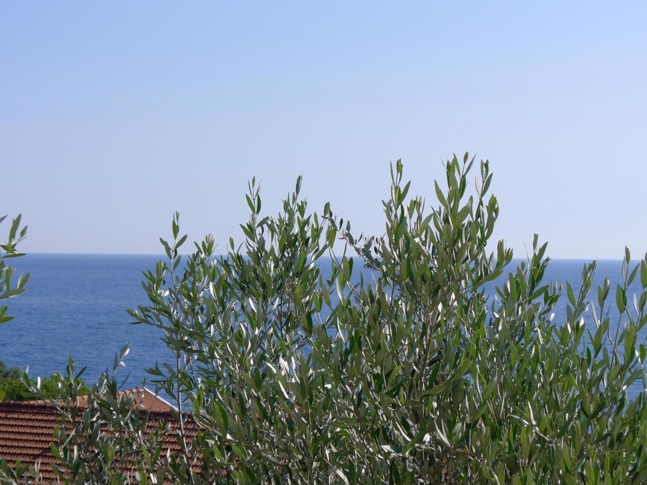 Apartments Maslina Sveti Stefan Dış mekan fotoğraf