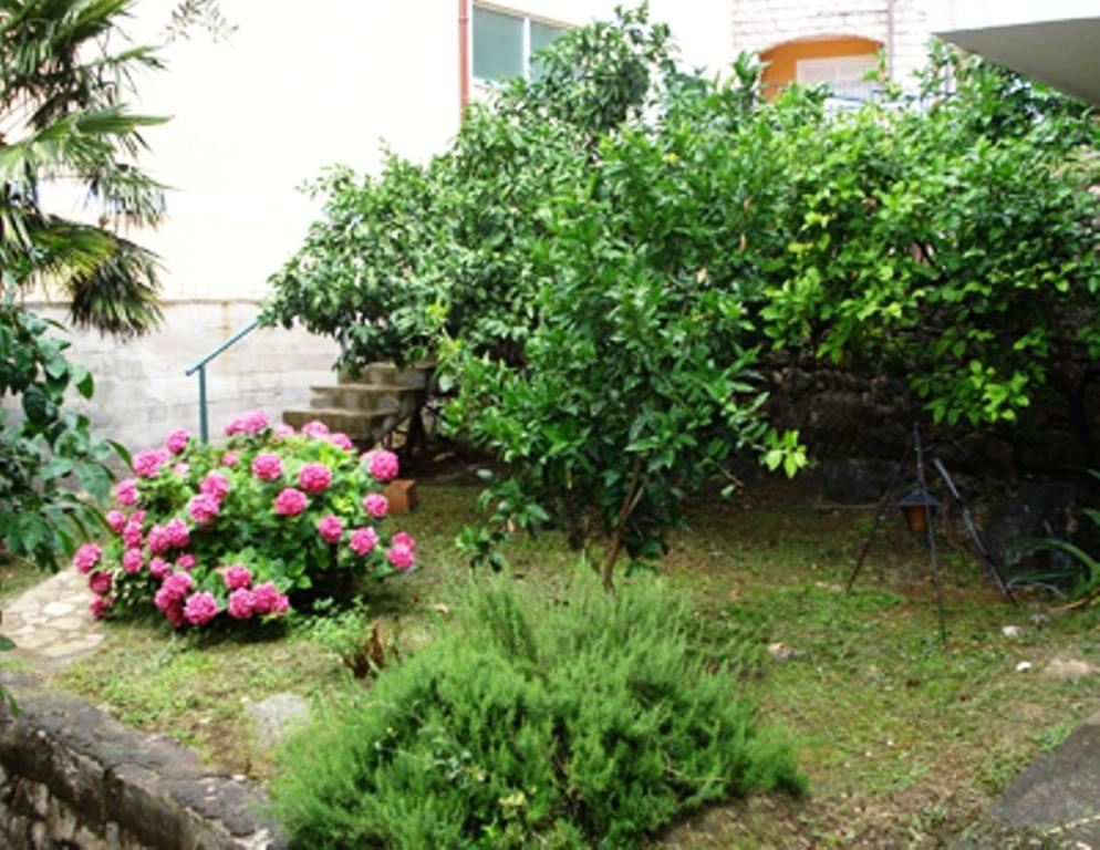 Apartments Maslina Sveti Stefan Dış mekan fotoğraf