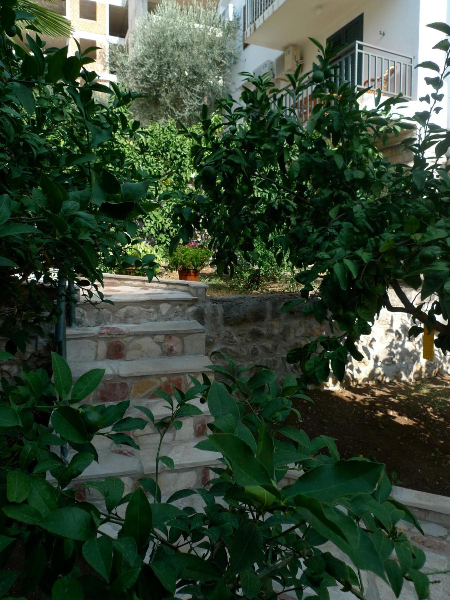 Apartments Maslina Sveti Stefan Dış mekan fotoğraf
