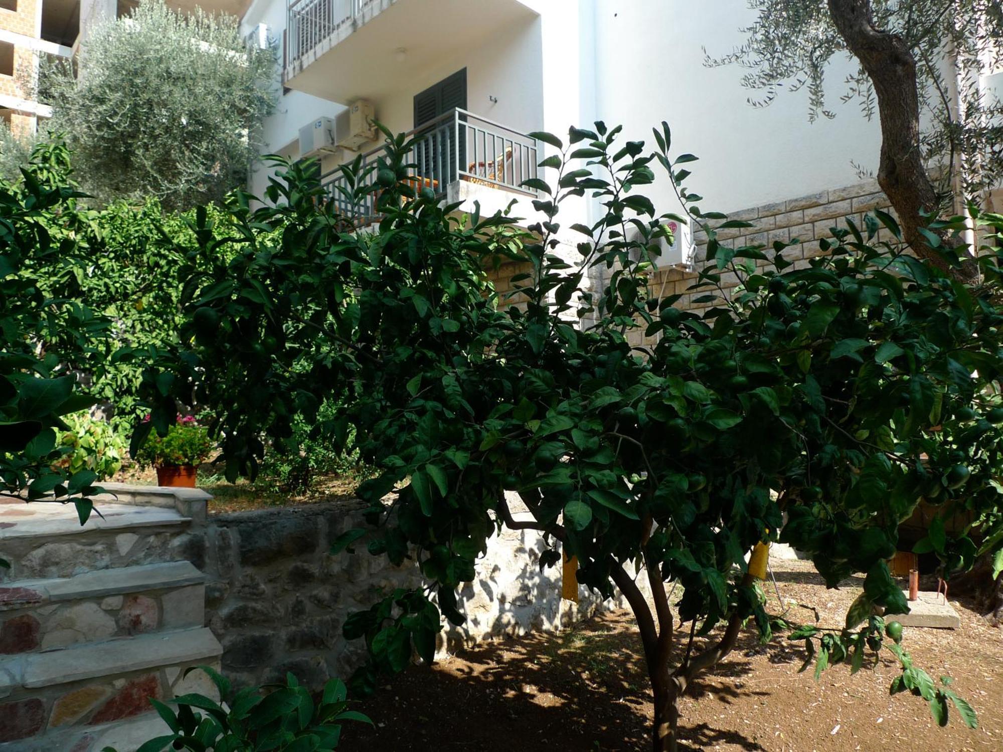 Apartments Maslina Sveti Stefan Dış mekan fotoğraf